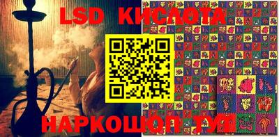 гидропоника Будённовск