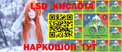 гидропоника Будённовск