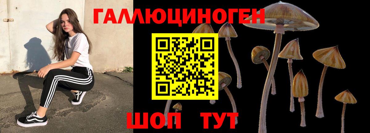 Псилоцибиновые грибы Magic Shrooms Волоколамск